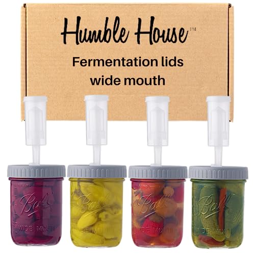 Find The Best Airlocks For Mason Jars Reviews & Comparison Katynel