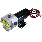 Antriebseinheit Raymarine M81119 Hydraulikpumpe (Links/rechts drehend, Typ 1, 24 V)