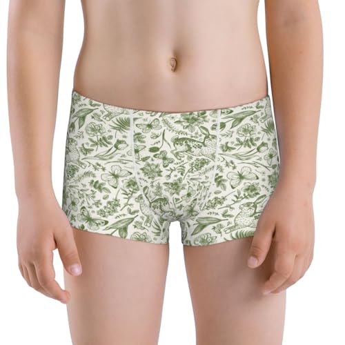 Boys' Cotton Boxer Brief Soft Underwear-Green Rabbit