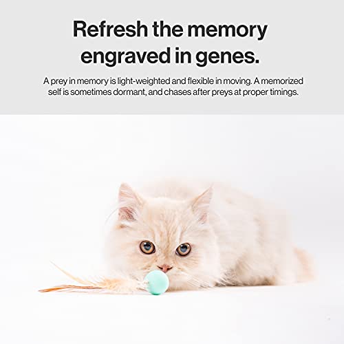 Pidan - Palline per gatti giocattolo con piume e