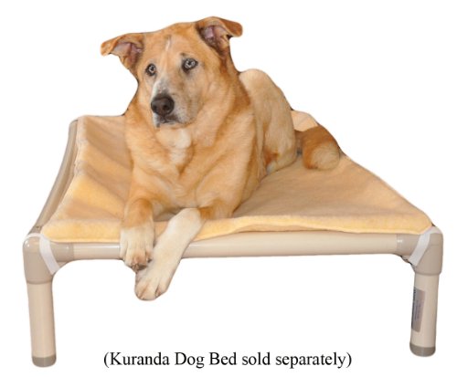 kuranda dog beds