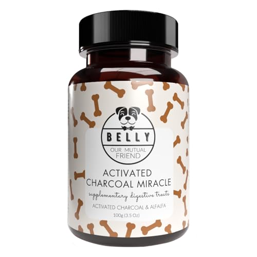 Belly Activated Charcoal Biscuits for Dogs -100g- Digestive Support - Comfort Treats - Nutrient Absorption, Natural Dog Treats Filled With Fibre - Fix Bloating & Gas, Made in Germany