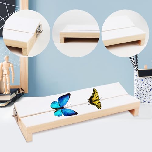 Image of Adjustable Butterfly Mounting Spreading Board, V-Shaped Insect Pinning Board for Entomology Specimen Display, Bug Pinning Kit, Experiment Tool for Labs