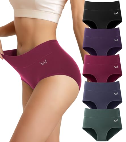 RUIXUE Bragas Mujer Algodón Elástico Culotte Braguita de Cintura Alta Ropa Interior Cómodas y Suaves Pack de 5