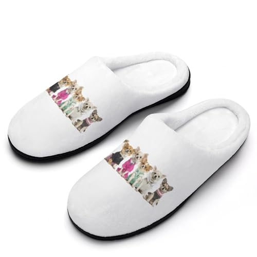 [STEBVI] Xbp  킢 `  [V[Y  nEXXbp  Y fB[X  ~ g 􂦂 qp p jp v[g