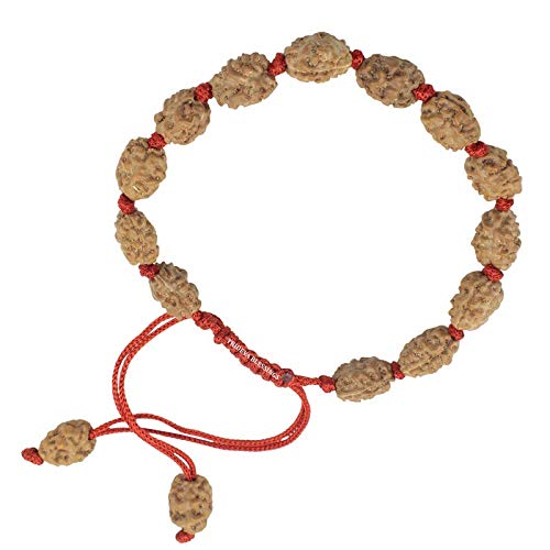 See full amazon price history chart for Trideva Blessings 2 Mukhi Rudraksha Bracelet/Two Face Rudraksha Bracelet -15 beads Trideva Blessings 2 Mukhi Rudraksha Bracelet/Two Face Rudraksha Bracelet -15 beads (B08K4L4PLL) Amazon Price History, Amazon Price Tracker