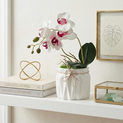 Image of Dekorly Artificial Lavender Plant in White Pot, 18cm - Realistic Faux Flower Arrangement for Home & Office Decor (Set of 1) (1, White Orchid)