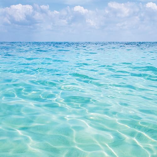 Miniatura 3 de Michel Design Works Beach Crema de manos 1 oz (cada una)