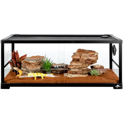 CAVACHEW 20 Gallon Glass Terrarium