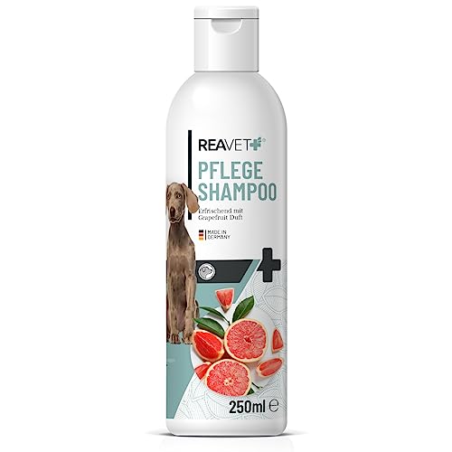 ReaVET Hundeshampoo mit Grapefruit 250ml - Pflegeshampoo Kokos für Hunde, Vitale Haut, Fellglanz, Kämmbarkeit, Shampoo Hund, natürliche Inhaltsstoffe