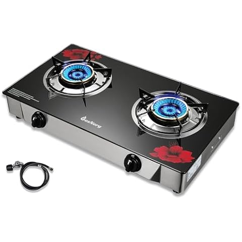 BesNerg 2 Burner Propane Stove Cover