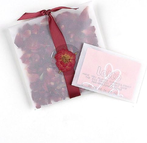 Transparent Envelopes Large (Pack of 20)