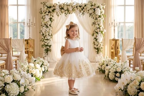 Image of TUIJI 0-6T Big Bowknot Toddler Baby Girls Formal Dresses Pageant Party Lace Embroidery Dress with Headwear