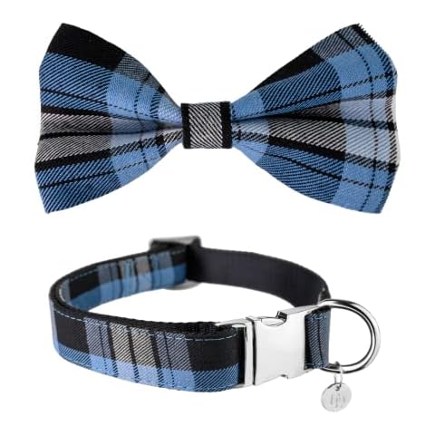 Dashin' Dogz Collar de perro con lazo extraíble, diseño de tartán escoceso Cover