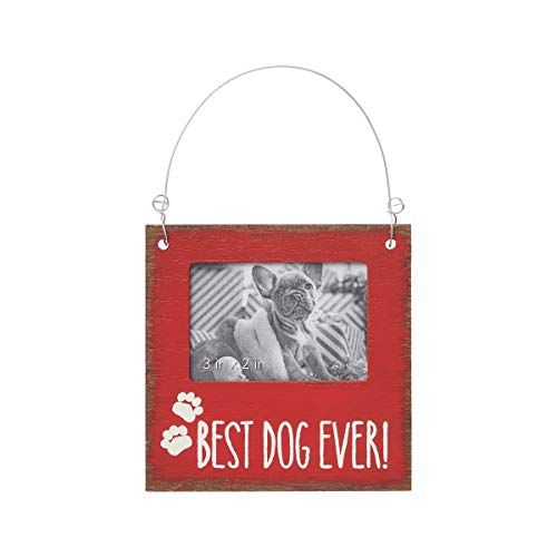 Collins Best Dog Ever Ornament
