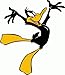 Daffy Duck Cartoon Car Bumper Sticker Decal 4"x 5"