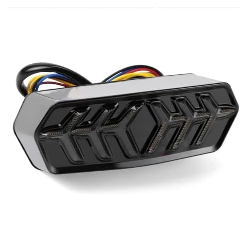 Luz de freno trasera de 12V con intermitentes LED Fishbone