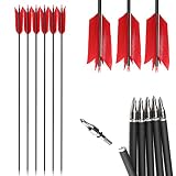 AMEYXGS 12 Pcs Archery Hunting Arrows Mix Carbon 30 Inch Flu...