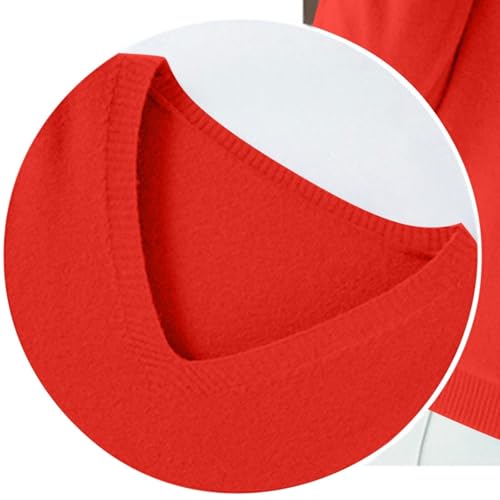 OIOLOYJM Fall Cashmere Sweaters for Women 2025 V Neck Long Sleeve Tops Lightweight Knitted Pullovers Merino Wool Sweater