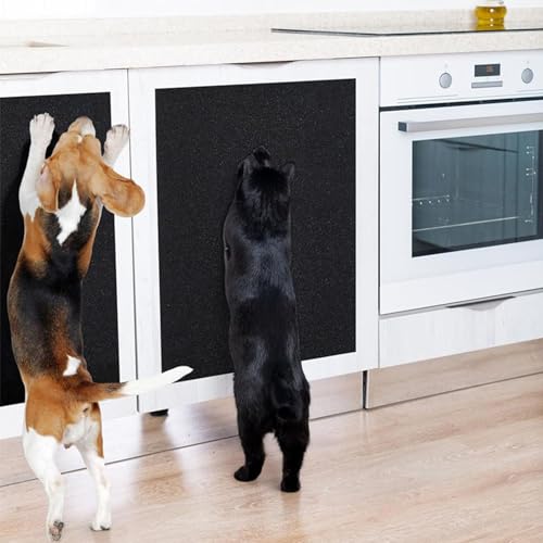 Planche à aiguiser pour chatons et chiots à fixation adhésive forte - 3
