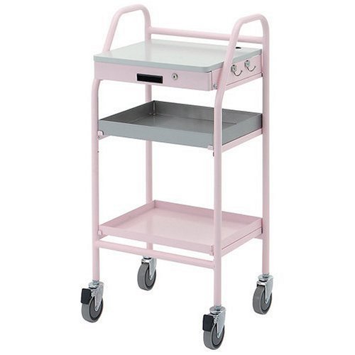 ロアス 電子カルテワゴン ピンク RKW-201P