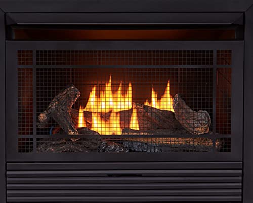 Duluth Forge Fdf300R Dual Fuel Ventless Gas Fireplace-26,000 Btu, Remote Control, Walnut Finish #TOP3