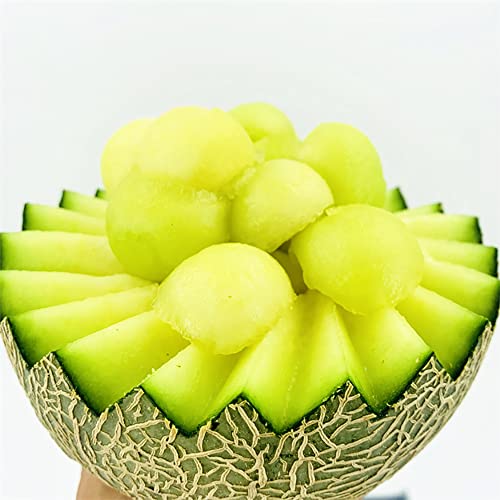 5 Variety Packs Watermelon Seeds For Planting Melon Fruit Seeds Garden Non-Gmo Heirloom Cantaloupe, Crimson Sweet Watermelon, Yellow Canary Melon, Green Flesh Honeydew Melon, Sugar Baby Watermelon #TOP6