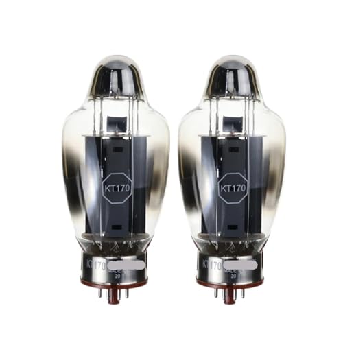 FLEYYXBN KT170 Tube Replaces KT150 KT120 KT88 6550(2pcs Matched Pair)