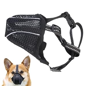 Muselière Chien Uieamsio Museliere pour Chiens Petit Museliere pour Chiens Muselière Chien avec Sangle Réfléchissante Et Réglable, Empêche De Mâcher Manger Mordre Aboiements Couvre Muselière-A (M)