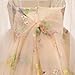 Embroidered Flower Girl Dress Toddler Sleeveless Spaghetti Straps Floral Embroidered Dress Baby Girl Dress Wedding Birthday Formal Party Photoshoot Tulle Dresses Apricot 5-6 Years