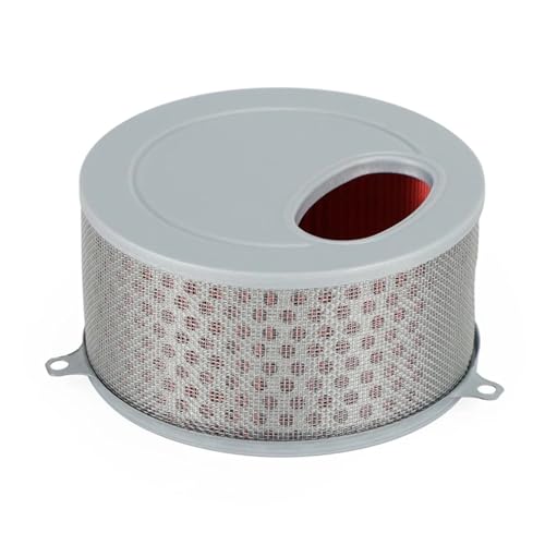 Filtre à air Daelim Daystar 125 VL125 filtre admission moto pièce 17213-BA1-00001