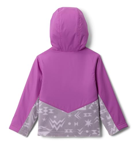 Image of Columbia Kids Steens Mt Ii Overlay Hoodie (toddler)