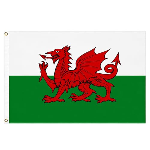 Wales Dragon Cymru Flag 3ft x 2ft with Brass Eyelets Large Polyester Welsh Flag Banner for Football Matches Rugby Supporters St Davids Day and Indoor Outdoor Home & Garden Display
