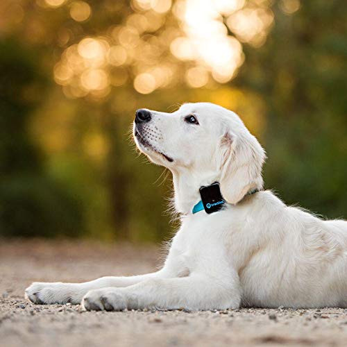 tractive gps pet tracking device