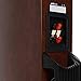 Polk Audio Rti A5 Floorstanding Speaker (Single, Cherry)