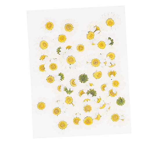 SEWACC 120 Pçs Flores De Margarida Secas Artesanais Brincos Florais Moldes De Velas Suprimentos Flor