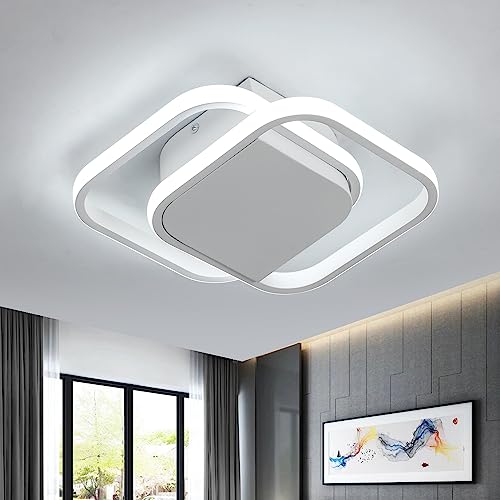 DELIPOP Lámpara de Techo LED Moderna, 24W Plafón LED Techo Cuadrado, Luz Blanca Fría 6000K, Luz de Techo de Acrílico para Dormitorio, Sala de Estar, Pasillos, Cocina, Comedor, Balcón (Blanca)