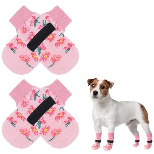 Socks for Dogs The 15 best products compared Wild Explained