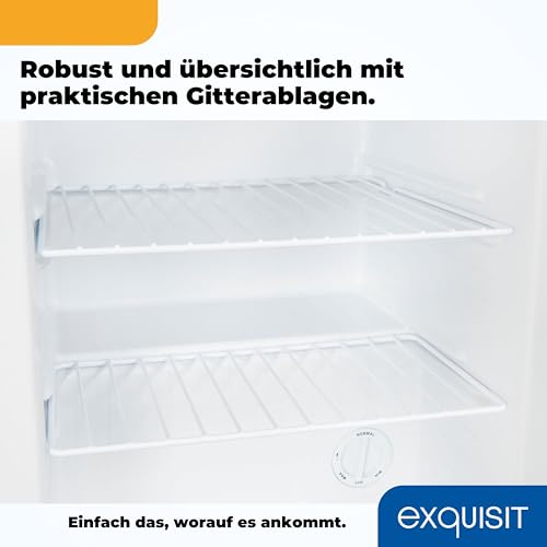 Exquisit Mini Gefrierschrank GB60-150E schwarz | 42 l Nutzinhalt | Schwarz | Klein und kompakt | Türanschlag wechselbar | Gefrieren
