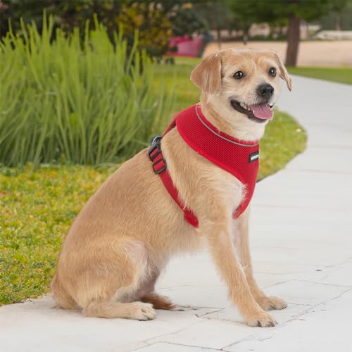 Image of Best Pet Supplies Voyager Aerolite Over the Head Dog Harness, No Pull Breathable Air Mesh Vest, Quick Dry with Reflective Stitching, Adjustable Escape Resistant Harness - Red, Medium
