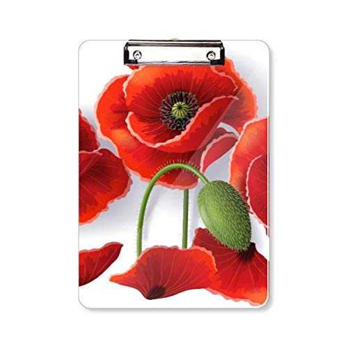 Plaque A4 coquelicot fleur rouge pour dossier d'écriture élégant