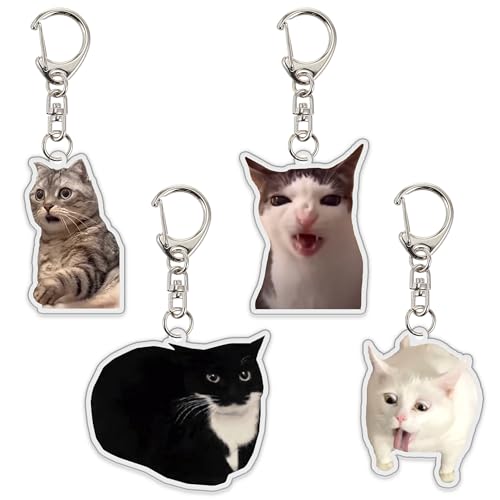 Image of Ohjijinn 8Pcs Cat Keychain Cute Cat Meme Keychains Two Cats Talking Keyring Kawaii Charm Funny Keychain
