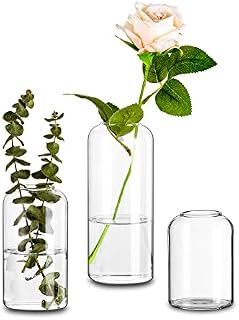 Modern Cylinder Glass Flower Vase, 3Pcs Glasseam Clear Decorative Handmade Vases for Table Decoration Wedding Centrepieces Narrow Neck Round Vase Set for Rose Pampas Grass Tulip Living Room Ornaments