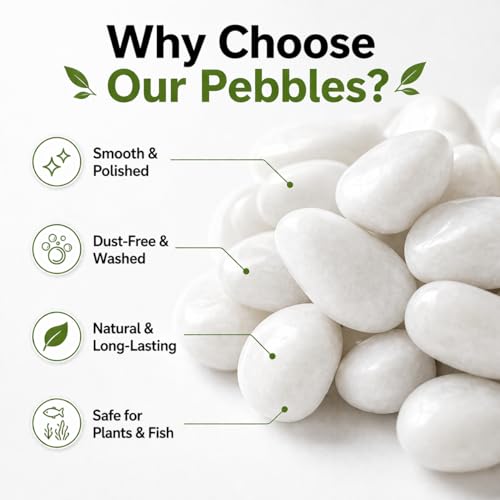 Image of Go Garden Polished White Pebbles Glossy Stones - 2Kg (2.5cm - 4cm) | Premium Decorative Stones for Vase Fillers, Aquarium, Terrarium, Garden, Home Decor & Landscaping