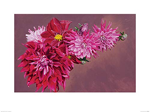 L Arte Gruppo Sarah Caswell Haworth Fireworks - Stampa Artistica 60 x 80 cm Carta Multicolore 60 x 80 x 1.3 cm