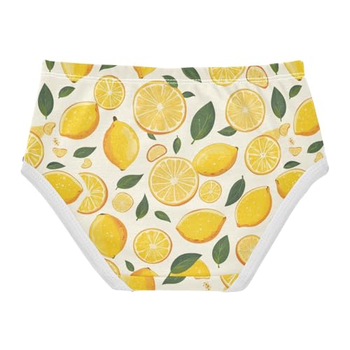 Wusikd Lemon Slice Fruit Girls' Underwear Cotton Girls Briefs Soft Toddler Underwear 2T2