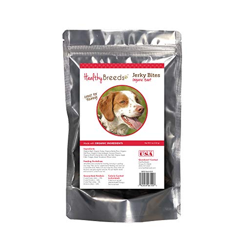 Healthy Breeds Brittany Jerky Bites Beef Recipe Dog Treats 5 ...
