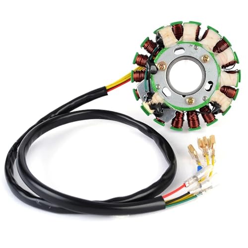 Stator bobine allumage moto RM01193-R00 haute résistance pour FE400E