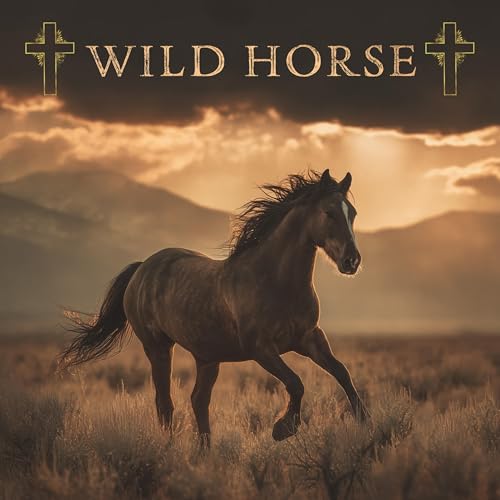 Jesus Country Music Group