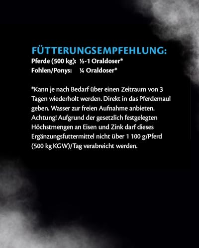 EQUISTRO® Energy Booster | Ergänzungsfuttermittel für Pferde | Hochkonzentrierte Nährstoffe für Ausdauer & Leistungsfähigkeit | Premium Qualität | 20g